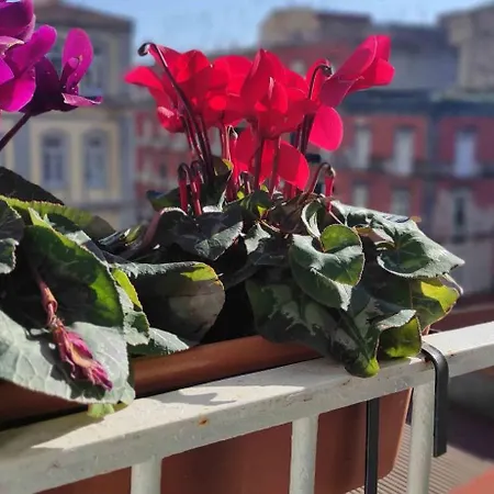 Terno Su Sanita * Napoli